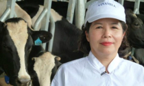 Chủ tịch Vinamilk: Không phải ai cũng nuôi bò thành công