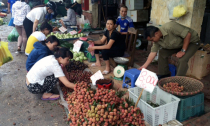 Vải 8.000, mận 10.000 đồng: Ế ngập chợ, tràn vỉa hè