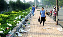 "Chúng mày không khá nổi là vậy!"