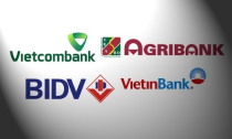 Đâu là ngân hàng số một Việt Nam?