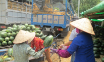 Hàng trăm xe dưa hấu, thanh long ùn tắc ở cửa khẩu Tân Thanh