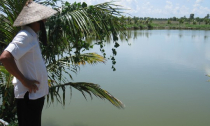 Thương lái gian lận, “cướp" tôm của nông dân