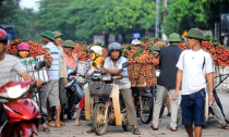 Thương lái Trung Quốc bất ngờ ngừng mua vải thiều
