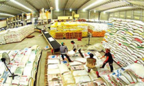 Những quy định vô lý đang “bào mòn” doanh nghiệp xuất khẩu gạo