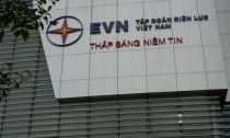 Nhiều sếp EVN thu nhập trên 600 triệu đồng một năm