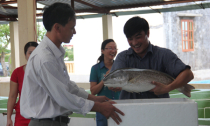 Lãi chục tỷ một năm nhờ nuôi cá giống