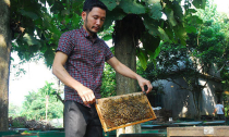 Tỷ phú từ nuôi ong lấy mật