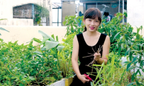 Cô gái làm giàu từ ươm cây thuốc