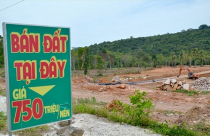 Phú Quốc lại tạm dừng tách thửa, chuyển mục đích sử dụng đất