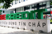 Phó Thủ tướng Trương Hòa Bình yêu cầu làm rõ thông tin “Trả nợ cho Fe Credit bằng cách tìm cái chết”