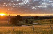 Úc: xu hướng dạt ra vùng ven tìm nhà giá rẻ