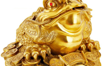 Ý nghĩa phong thủy cóc ngậm tiền