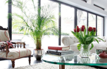 Cách chọn hoa trang trí phòng khách đẹp