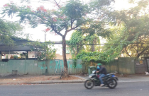 Thừa Thiên Huế thu hồi khu “đất vàng” bỏ hoang gần 10 năm