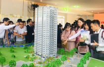 Nhà đầu tư nhỏ “sấp mặt” vì Covid