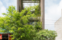 Triết lý sống xanh trong nhà ống tại Bắc Ninh