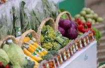 CPI bình quân 8 tháng năm 2020 tăng 3,96%