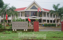 Nhổ cà phê làm khu đô thị: Nông dân đi về đâu?