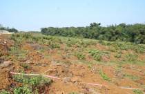 Công ty dịch vụ du lịch Sông Hiền bị xử phạt hơn 300 triệu đồng vì phá rừng trái pháp luật