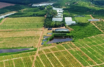 Dễ nếm “trái đắng” khi bỏ tiền vào trang trại nghỉ dưỡng