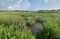 Nguồn tiền khổng lồ chôn trong đất công bỏ trống