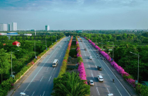 Check in “sương sương” những cây cầu đẹp mê hồn tại Ecopark