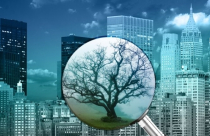 "Chồi xanh" mọc trên thị trường nợ