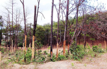 Lâm Đồng: Hầu hết các công trình trọng điểm dang dở, ‘nằm trên giấy’