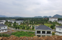 "Sốt" đất Đồng Chanh: Dân Hà Nội xếp hàng chờ chủ đất... bỏ vợ, bán nhà!