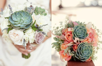 Ý nghĩa cây sen đá trong phong thủy