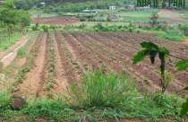 Quy định về chuyển mục đích sử dụng đất