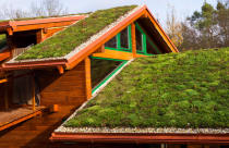 Những lưu ý khi chọn nhà ở thân thiện với môi trường