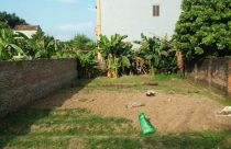 Khối tài sản lãng quên, bỏ hoang cuối làng bỗng dưng được giá