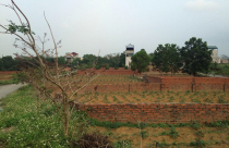 Nóng ruột lao vào cơn sốt đất, tin lời đưa đẩy mất oan 300 triệu đồng