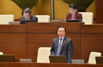 Kiến nghị người nước ngoài “núp bóng“ mua đất tại Việt Nam được tiếp thu thế nào?