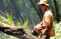 Thu hồi hơn 26ha đất để phục vụ xây dựng sân bay Long Thành