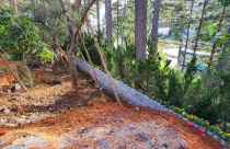 Đà Lạt: Ngang nhiên lấn chiếm đất rừng ngay cửa ngõ thành phố