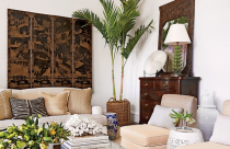 Gợi ý trang trí nội thất với cây xanh trong nhà