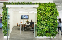 Những thay đổi hướng đến xu hướng "xanh hóa" không gian văn phòng