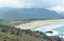 Bình Định xin chủ trương chuyển mục đích đất rừng để làm dự án du lịch sinh thái, nghỉ dưỡng cao cấp