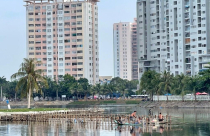 Thành phố Vũng Tàu sẽ xử lý triệt để các công trình xây dựng trái phép