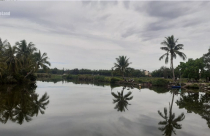 Chủ tịch tỉnh Quảng Nam Lê Trí Thanh: “Sông Cổ Cò phải là tài sản vô giá cho thế hệ tương lai”