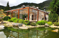 Tháo dỡ 12 căn nhà kiên cố tại ngôi làng 'mọc' chui trên đất rừng