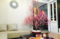 Lưu ý trang trí phòng khách ngày tết