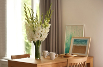 Ý nghĩa và cách cắm hoa lay ơn ngày Tết