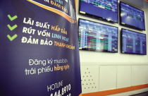 Trái phiếu doanh nghiệp: “Bom nợ” hiển hiện - Bài 3: Đừng để doanh nghiệp lớn và ngân hàng “độc chiếm vốn”