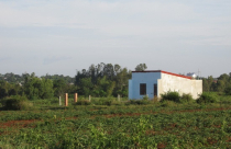 Đất nông nghiệp chưa có sổ có được chuyển nhượng, cho tặng?