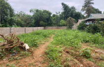 "Trúng lớn" đất nền ven đô vì cách đầu tư đơn giản này