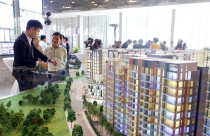 Chọn gì để đầu tư?