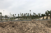 Nguồn cung nhà ở xã hội thiếu: Giả mạo chủ đầu tư nhận cọc